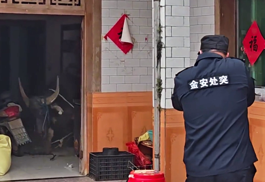 �·�������ڣ��������У�