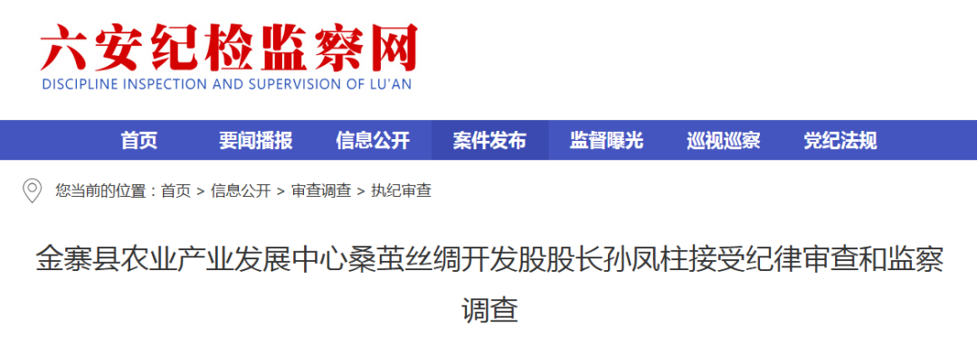 ������ί��ίͨ�����������������Υ��Υ�����飡