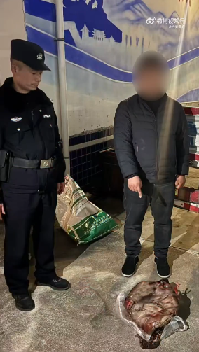 ��ȱ�£�͵�̻����ӱ���������ץ��