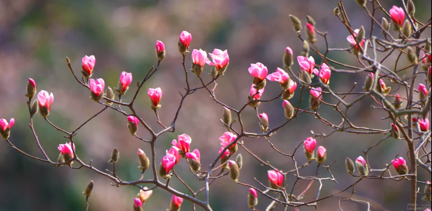 ��կ�����ǲز�ס�ˡ�