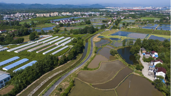 ȫʡ����������һ����ѡ��