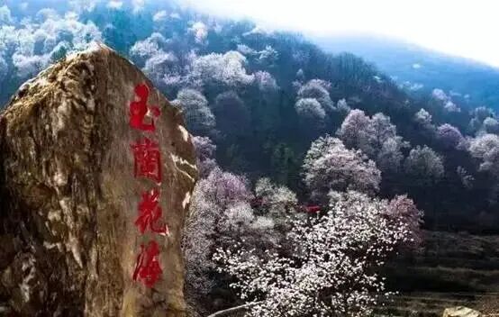 ��������·�����������������