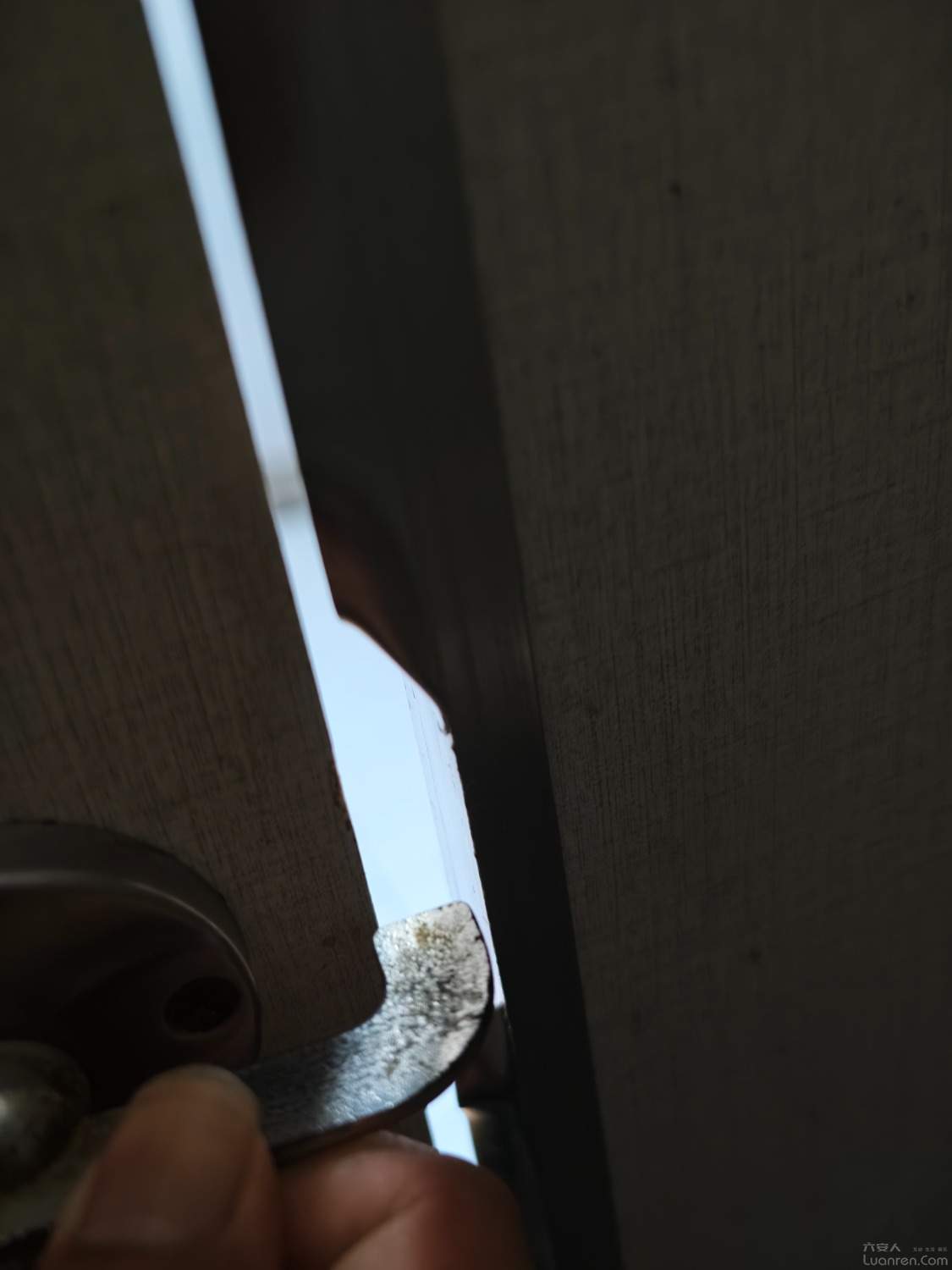 ����Ϊ������