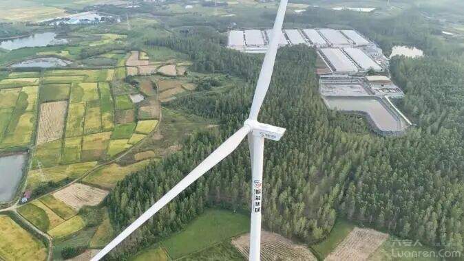 ��Ͷ��Լ7��Ԫ����������ش���Ŀ��ʽ������