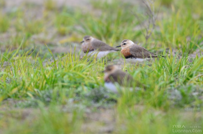 �״������������ɰ���С���顱