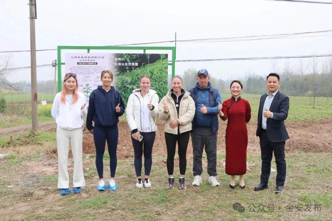 ���⽡����������������֮����