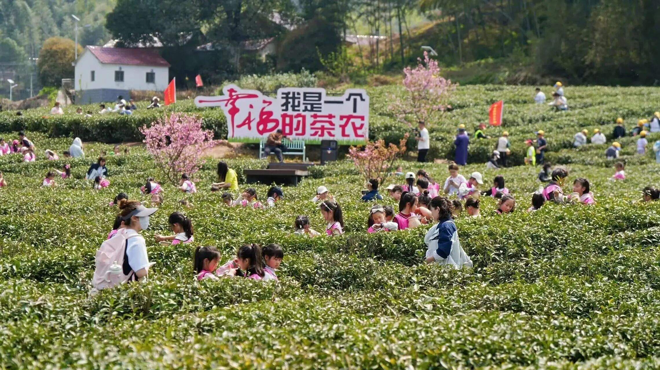 194.59���˴Σ�Լ10.7��Ԫ��