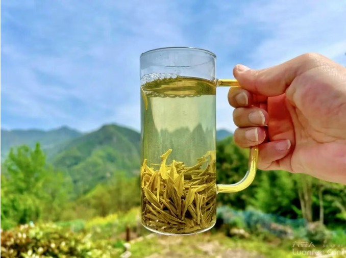 ����95��м�������ÿ�����һƬҶ�����������¸�ϣ��