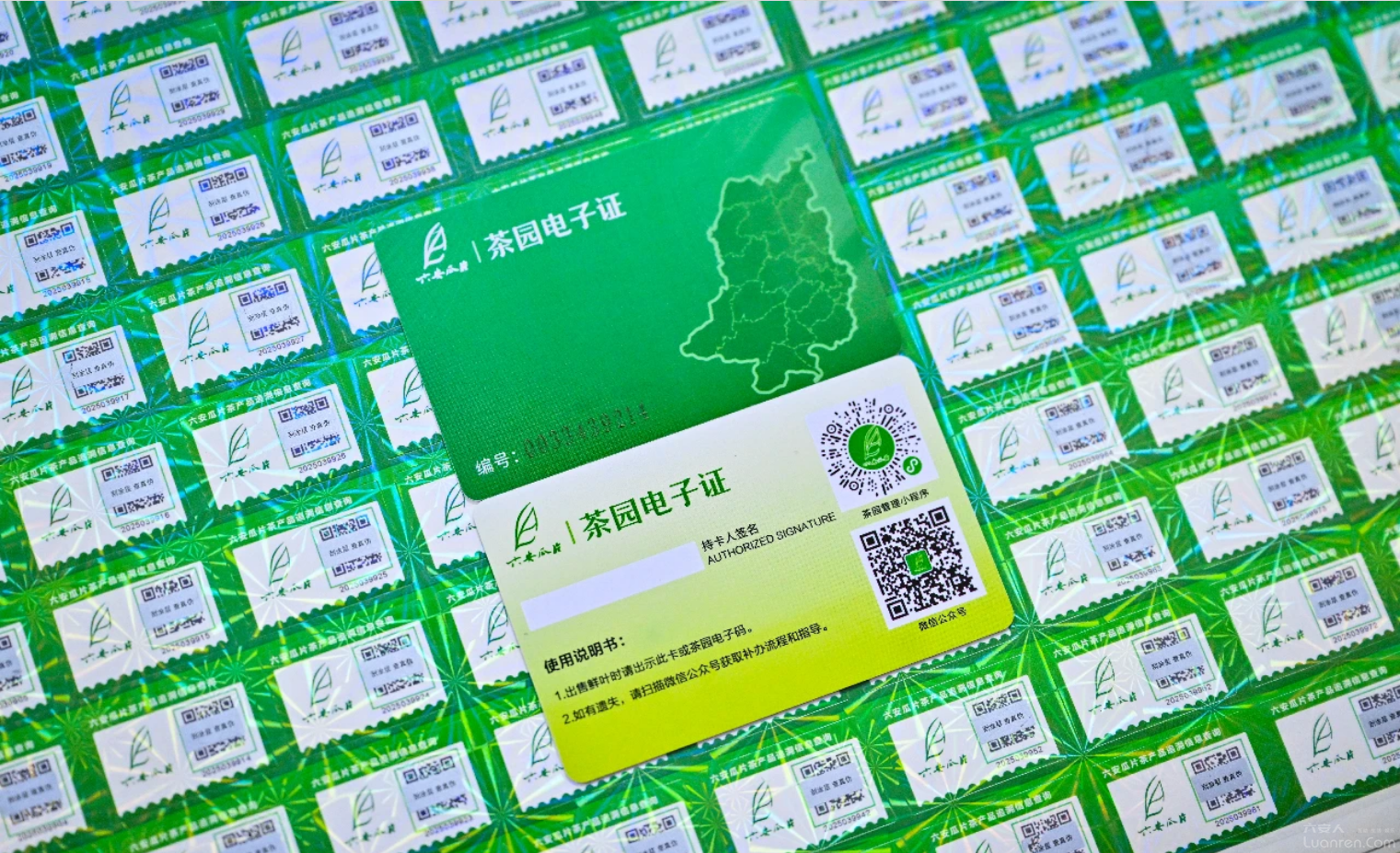 ������Ƭ���ϡ��ǻ۴��ԡ�