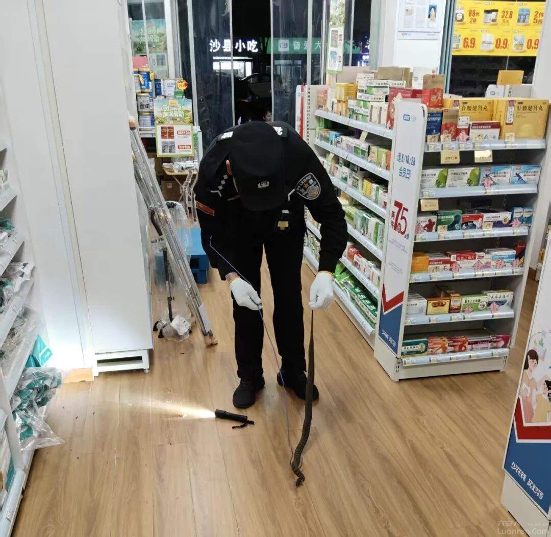 ����һҩ���ڴ��롰Ұ�����ӡ���