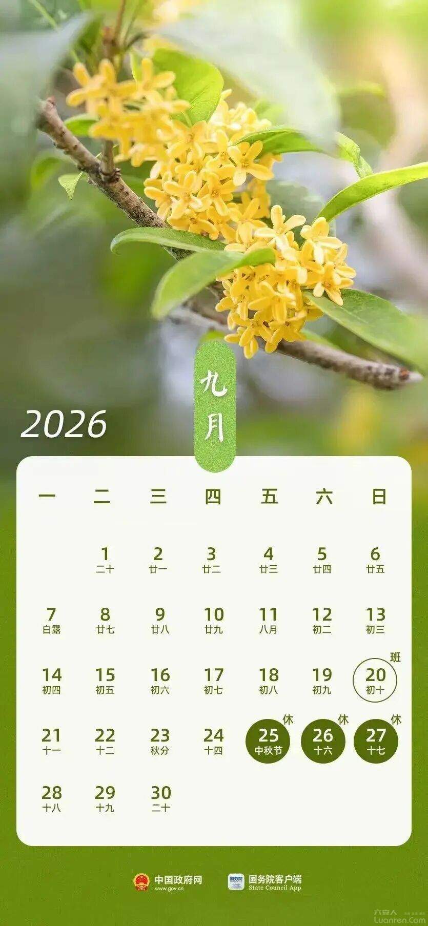 �����ݣ����·ż�֪ͨ��